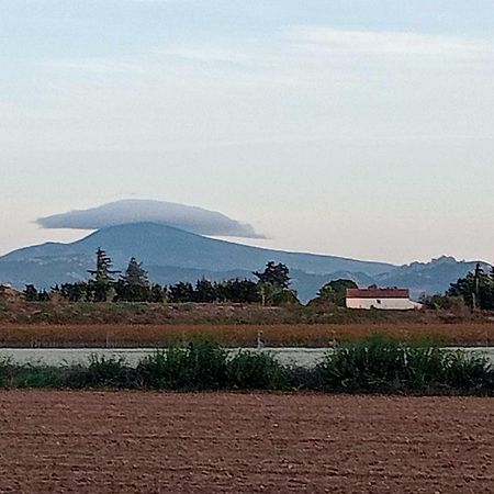 Chambre D'Hotes Les Garrigues Piolenc Екстериор снимка