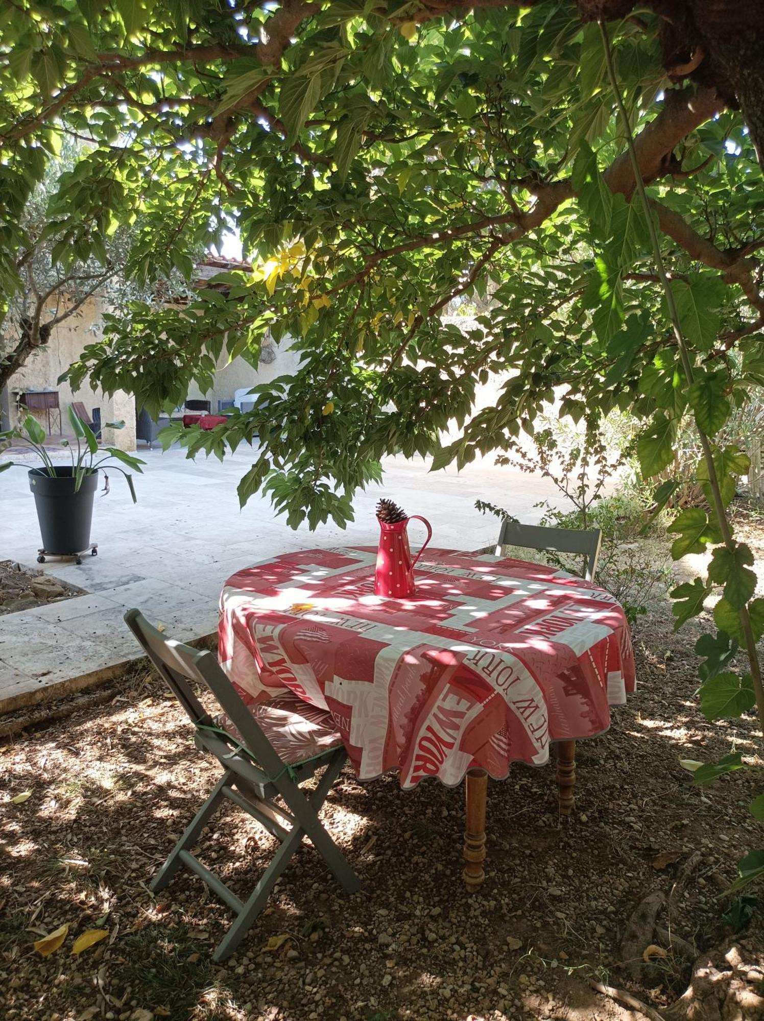 Chambre D'Hotes Les Garrigues Piolenc Екстериор снимка