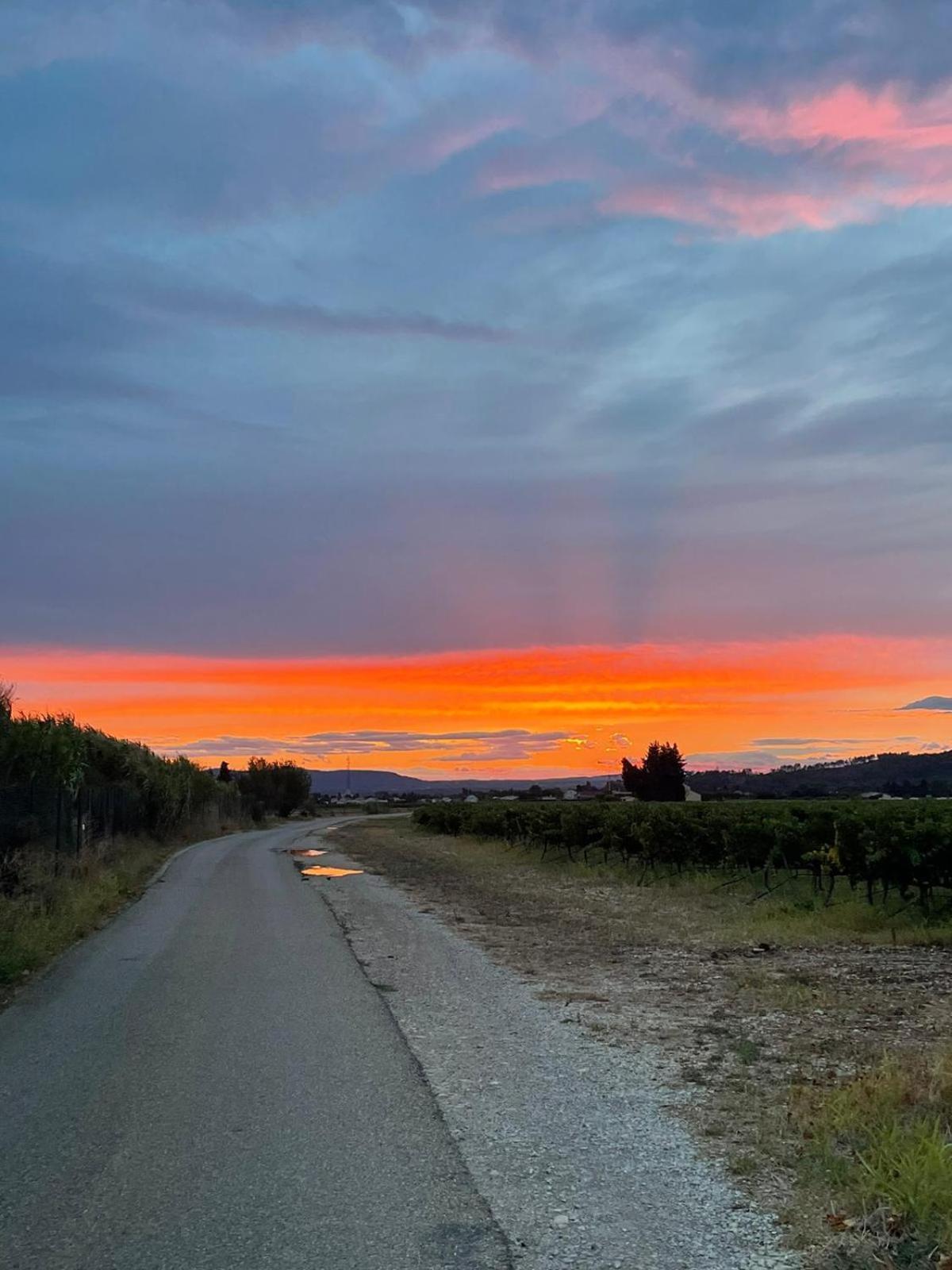 Chambre D'Hotes Les Garrigues Piolenc Екстериор снимка