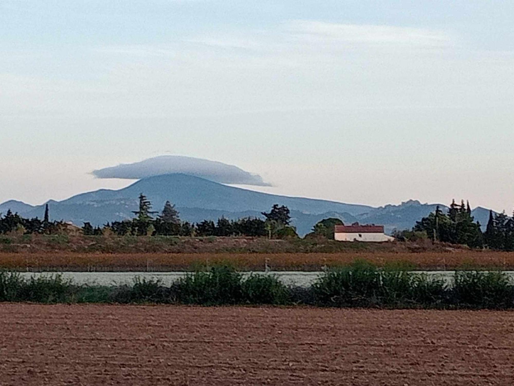 Chambre D'Hotes Les Garrigues Piolenc Екстериор снимка